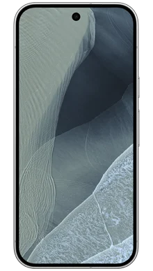 Pixel 11 Pro in Grey