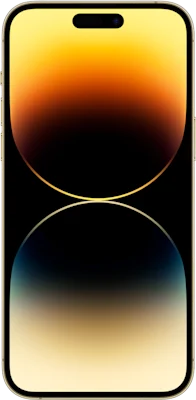 iPhone 14 Pro Max in Gold