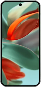 Google Pixel 9 Pro 128GB in Grey