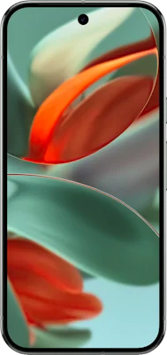 Pixel 9 Pro in Grey